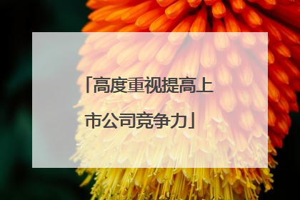 高度重视提高上市公司竞争力