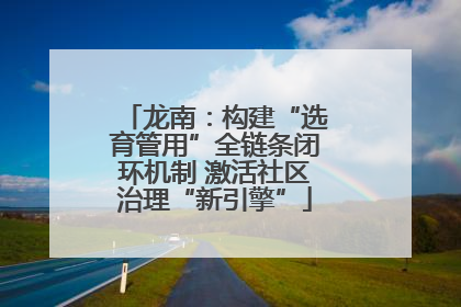 龙南：构建“选育管用”全链条闭环机制 激活社区治理“新引擎”