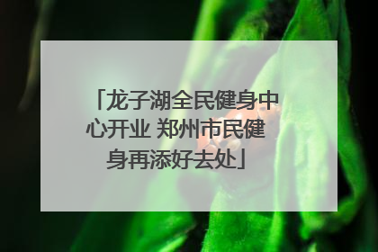 龙子湖全民健身中心开业 郑州市民健身再添好去处