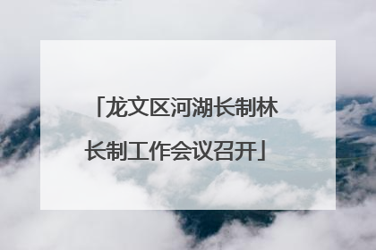 龙文区河湖长制林长制工作会议召开
