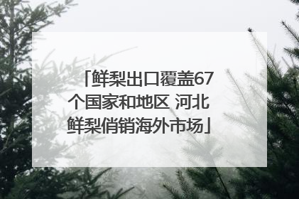 鲜梨出口覆盖67个国家和地区 河北鲜梨俏销海外市场
