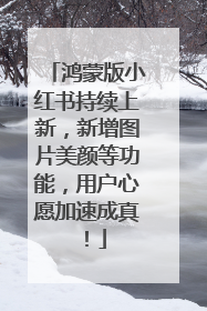 鸿蒙版小红书持续上新，新增图片美颜等功能，用户心愿加速成真！