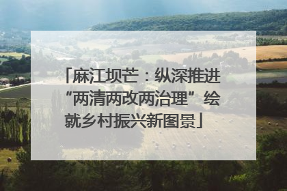 麻江坝芒：纵深推进“两清两改两治理”绘就乡村振兴新图景