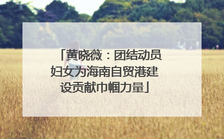 黄晓薇：团结动员妇女为海南自贸港建设贡献巾帼力量