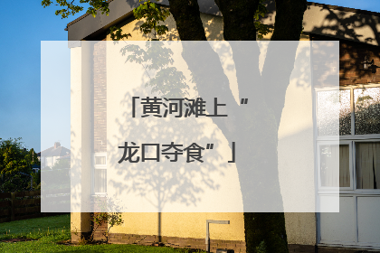 黄河滩上“龙口夺食”