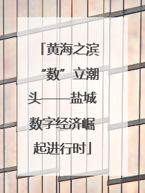 黄海之滨“数”立潮头——盐城数字经济崛起进行时