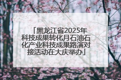 黑龙江省2025年科技成果转化月石油石化产业科技成果路演对接活动在大庆举办