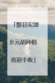 黟县宏潭乡元胡种植喜迎丰收