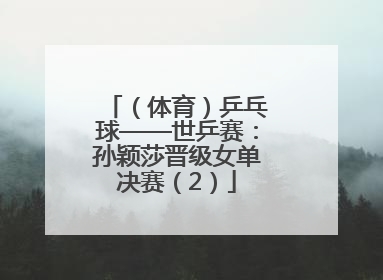 （体育）乒乓球——世乒赛：孙颖莎晋级女单决赛（2）
