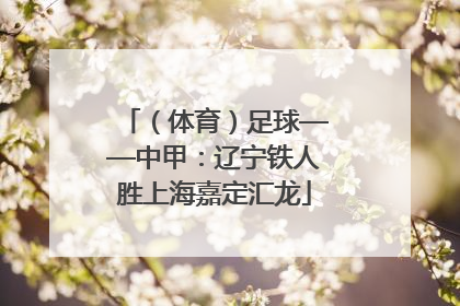 （体育）足球——中甲：辽宁铁人胜上海嘉定汇龙
