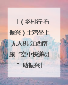 （乡村行·看振兴）土鸡坐上无人机 江西南康“空中快递员”助振兴