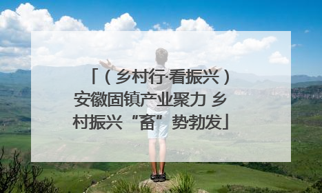 （乡村行·看振兴）安徽固镇产业聚力 乡村振兴“畜”势勃发
