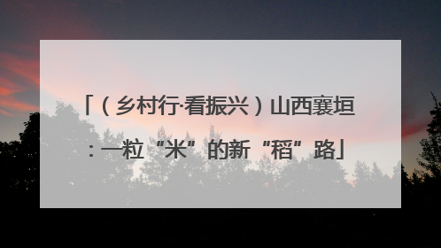 （乡村行·看振兴）山西襄垣：一粒“米”的新“稻”路