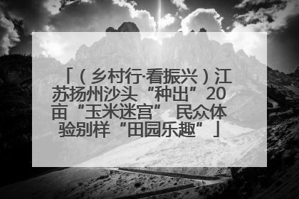 （乡村行·看振兴）江苏扬州沙头“种出”20亩“玉米迷宫” 民众体验别样“田园乐趣”