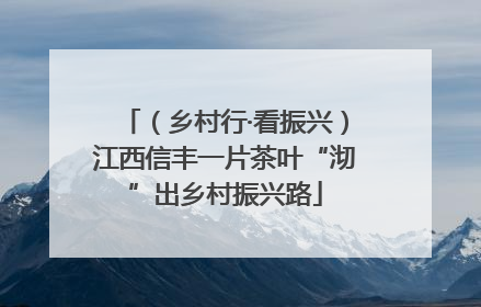 （乡村行·看振兴）江西信丰一片茶叶“沏”出乡村振兴路