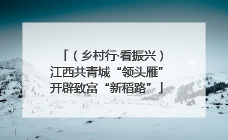 （乡村行·看振兴）江西共青城“领头雁”开辟致富“新稻路”