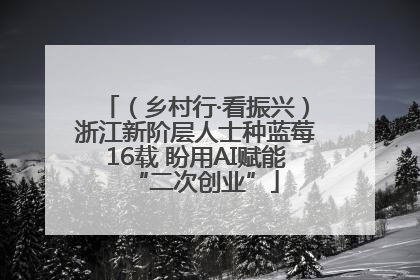 （乡村行·看振兴）浙江新阶层人士种蓝莓16载 盼用AI赋能“二次创业”