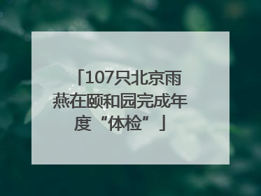 107只北京雨燕在颐和园完成年度“体检”