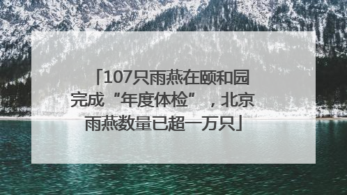 107只雨燕在颐和园完成“年度体检”，北京雨燕数量已超一万只