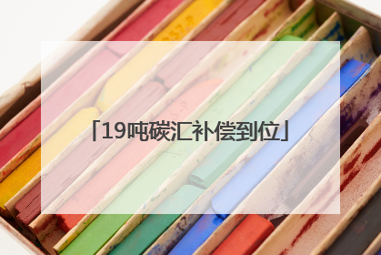 19吨碳汇补偿到位