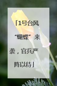 1号台风“蝴蝶”来袭，官兵严阵以待