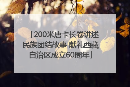 200米唐卡长卷讲述民族团结故事 献礼西藏自治区成立60周年