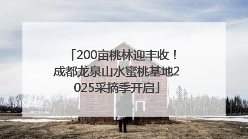 200亩桃林迎丰收！成都龙泉山水蜜桃基地2025采摘季开启