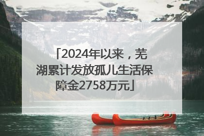 2024年以来，芜湖累计发放孤儿生活保障金2758万元