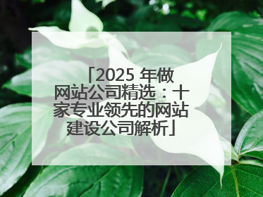 2025 年做网站公司精选：十家专业领先的网站建设公司解析