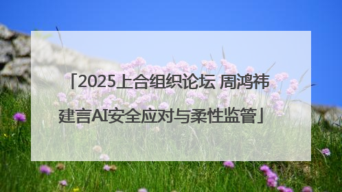 2025上合组织论坛 周鸿祎建言AI安全应对与柔性监管