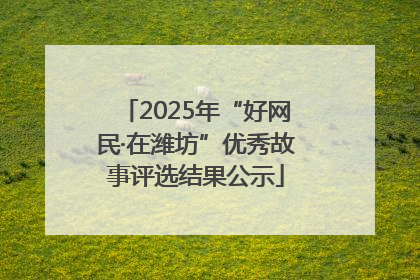 2025年“好网民·在潍坊”优秀故事评选结果公示