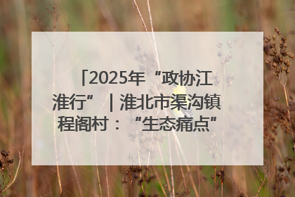 2025年“政协江淮行”｜淮北市渠沟镇程阁村：“生态痛点”变“生态景观”