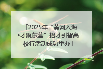 2025年“黄河入海•才聚东营”招才引智高校行活动成功举办