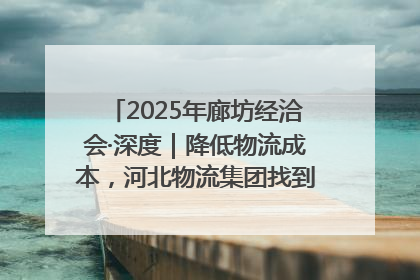 2025年廊坊经洽会·深度｜降低物流成本，河北物流集团找到一把“金钥匙”