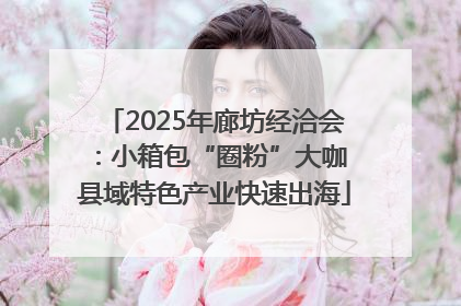 2025年廊坊经洽会：小箱包“圈粉”大咖 县域特色产业快速出海