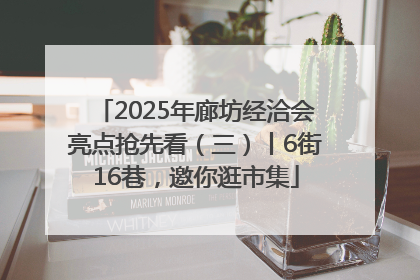 2025年廊坊经洽会亮点抢先看（三）丨6街16巷，邀你逛市集