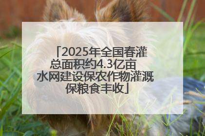 2025年全国春灌总面积约4.3亿亩 水网建设保农作物灌溉 保粮食丰收