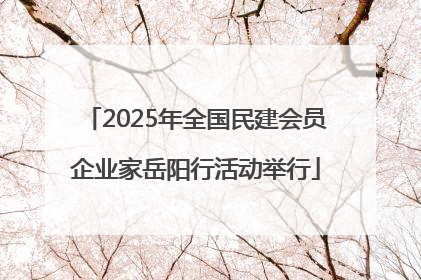 2025年全国民建会员企业家岳阳行活动举行