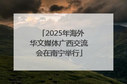 2025年海外华文媒体广西交流会在南宁举行