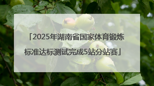 2025年湖南省国家体育锻炼标准达标测试完成5站分站赛
