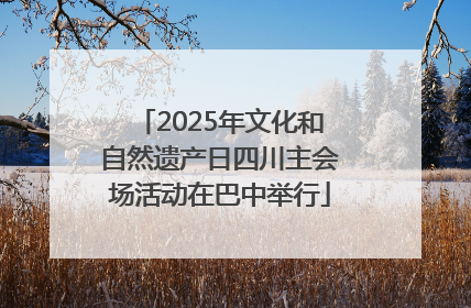 2025年文化和自然遗产日四川主会场活动在巴中举行