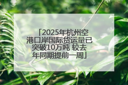 2025年杭州空港口岸国际货运量已突破10万吨 较去年同期提前一周