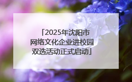 2025年沈阳市网络文化企业进校园双选活动正式启动