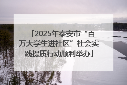 2025年泰安市“百万大学生进社区”社会实践提质行动顺利举办