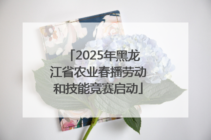2025年黑龙江省农业春播劳动和技能竞赛启动