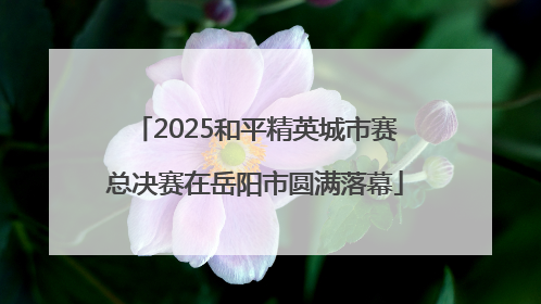 2025和平精英城市赛总决赛在岳阳市圆满落幕