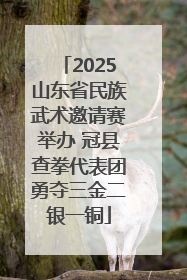 2025山东省民族武术邀请赛举办 冠县查拳代表团勇夺三金二银一铜