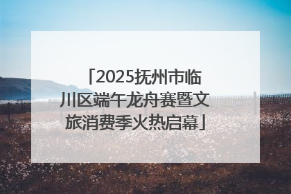 2025抚州市临川区端午龙舟赛暨文旅消费季火热启幕