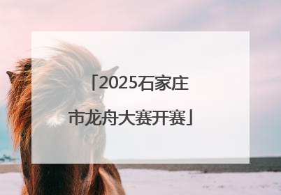 2025石家庄市龙舟大赛开赛