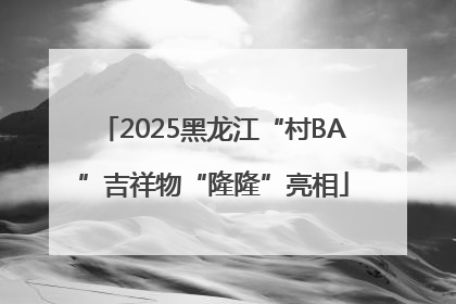 2025黑龙江“村BA”吉祥物“隆隆”亮相